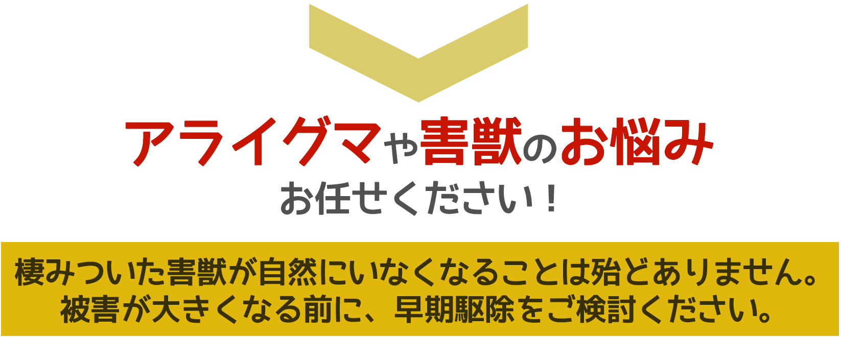 アライグマや害獣被害に悩んだら、ご相談ください。無料にて現地調査・お見積りします