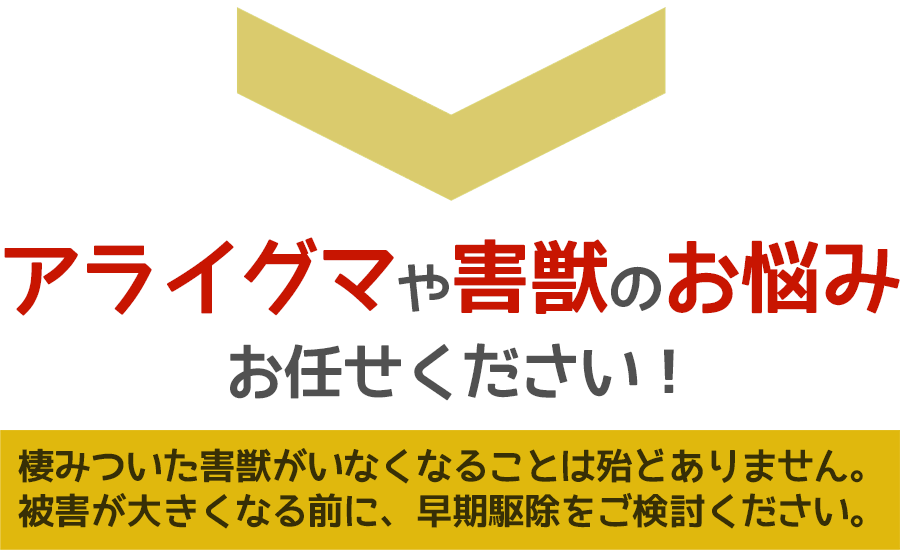 アライグマや害獣被害に悩んだら、ご相談ください。無料にて現地調査・お見積りします