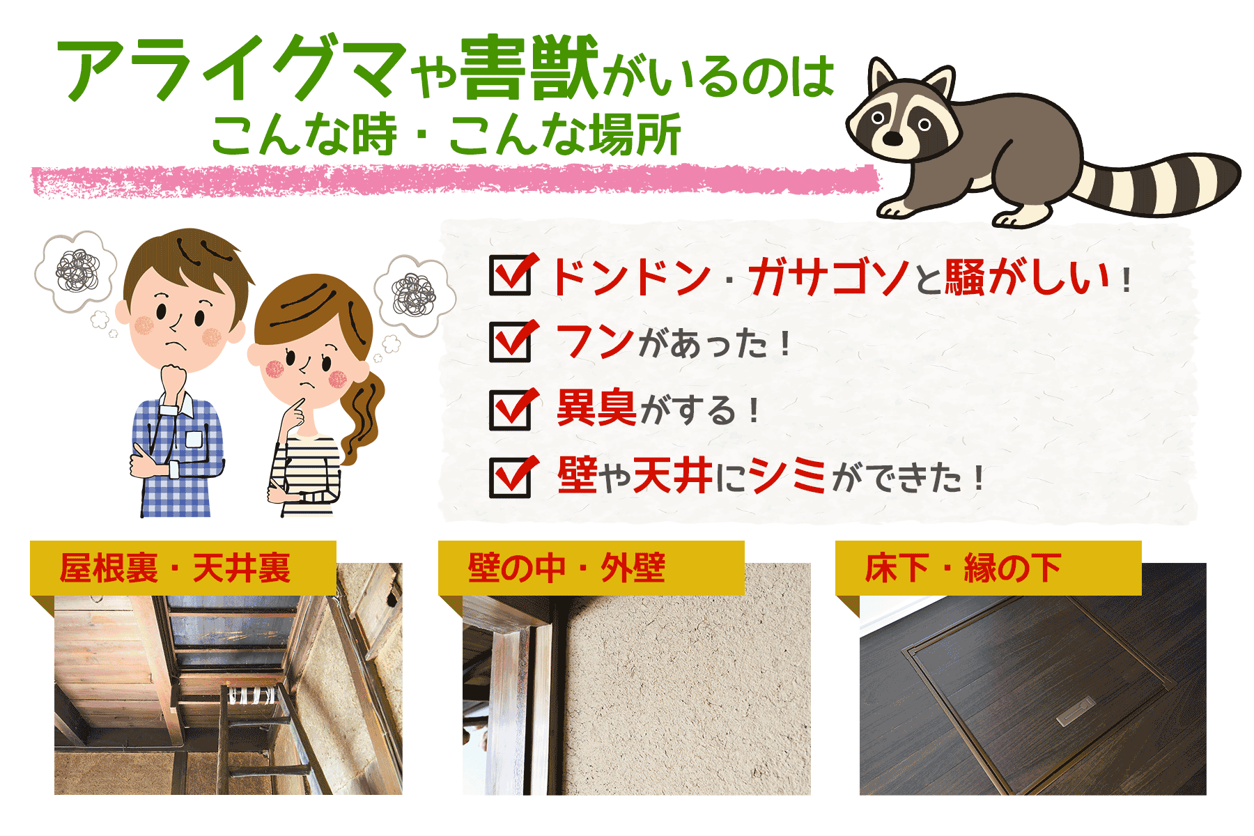 アライグマや害獣がいるのは、こんな時、こんな場所