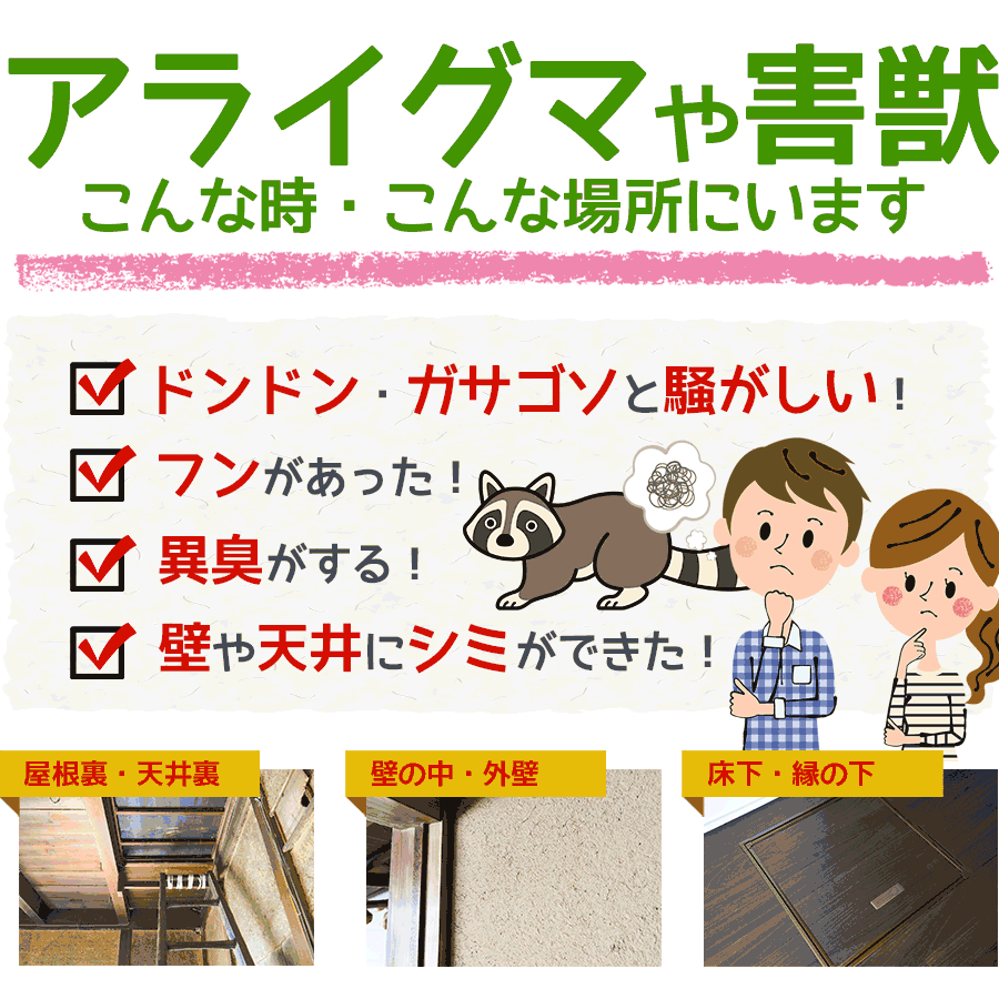 アライグマや害獣がいるのは、こんな時、こんな場所