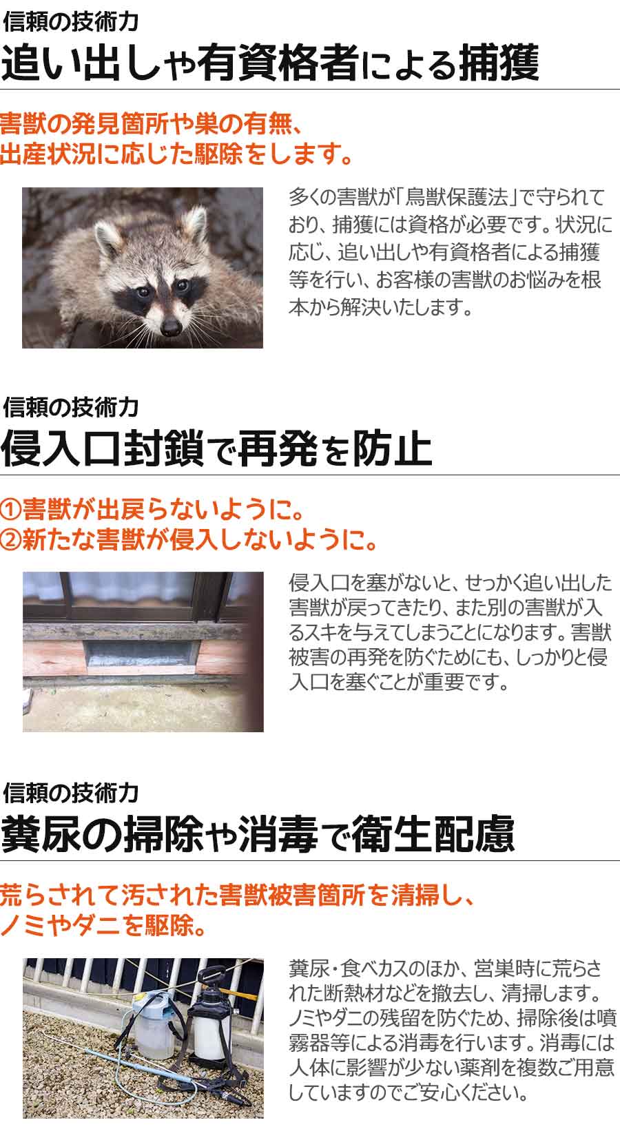 アライグマなどの害獣駆除の安心と信頼の技術力