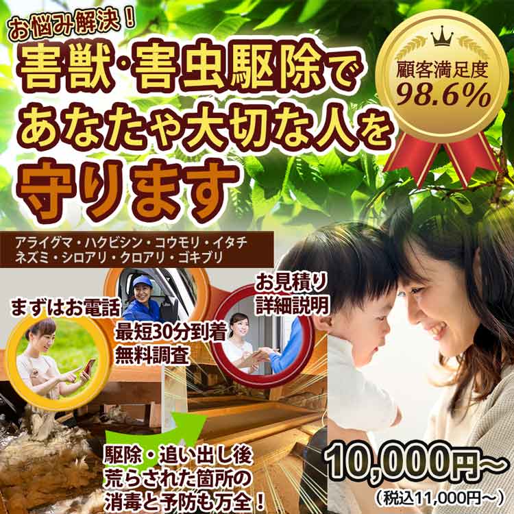 あなたの町の害獣のお悩み、お任せください！