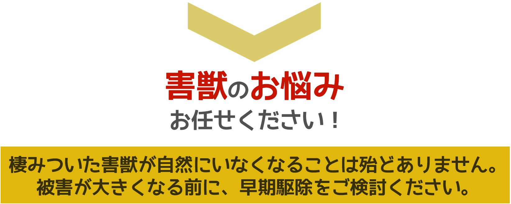害獣被害に悩んだら、ご相談ください。無料にて現地調査・お見積りします