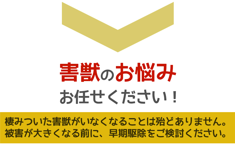 害獣被害に悩んだら、ご相談ください。無料にて現地調査・お見積りします