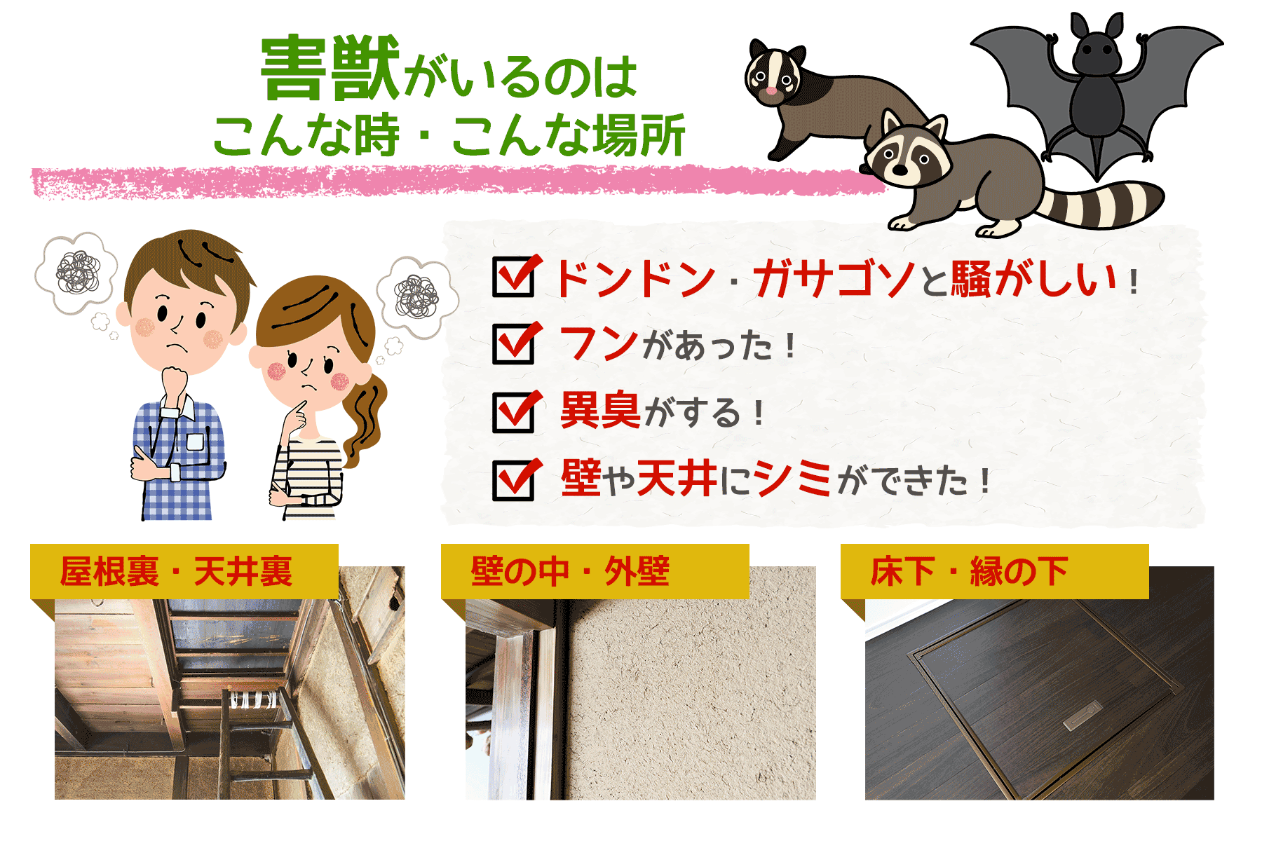 害獣がいるのは、こんな時、こんな場所