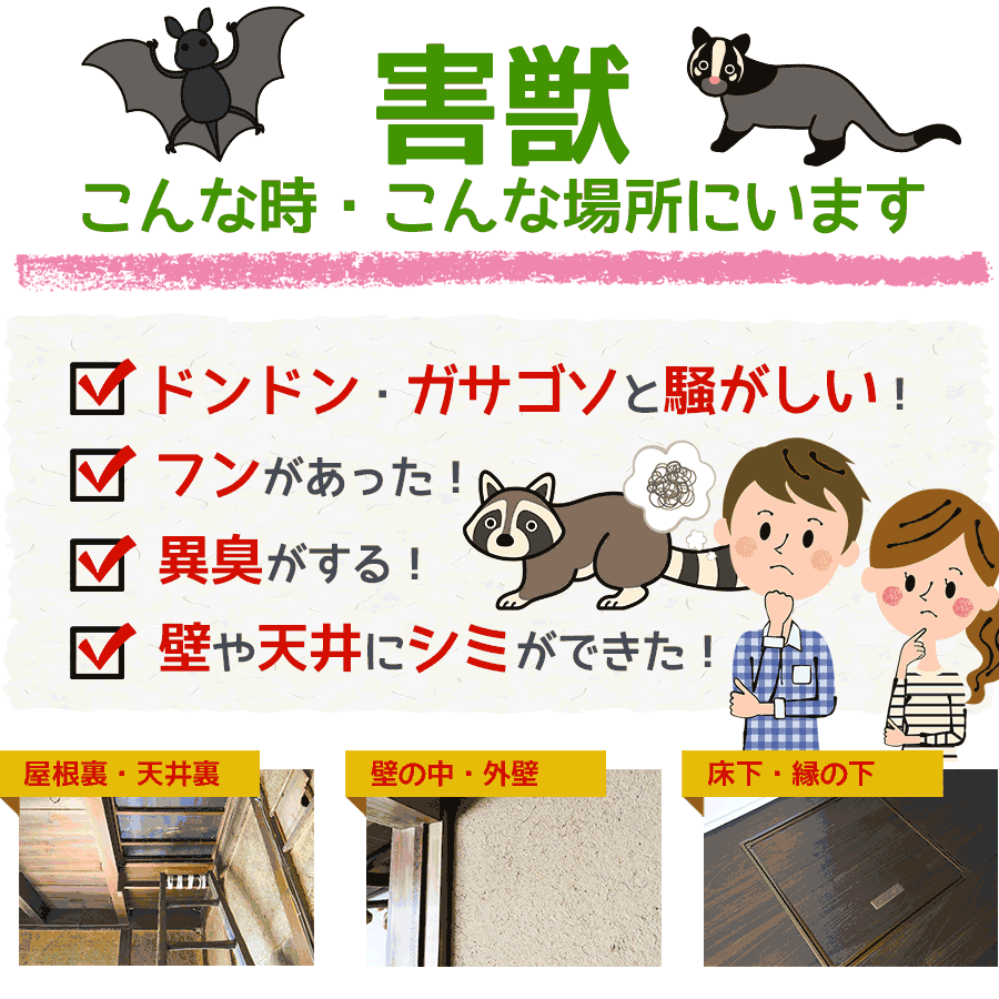 害獣がいるのは、こんな時、こんな場所