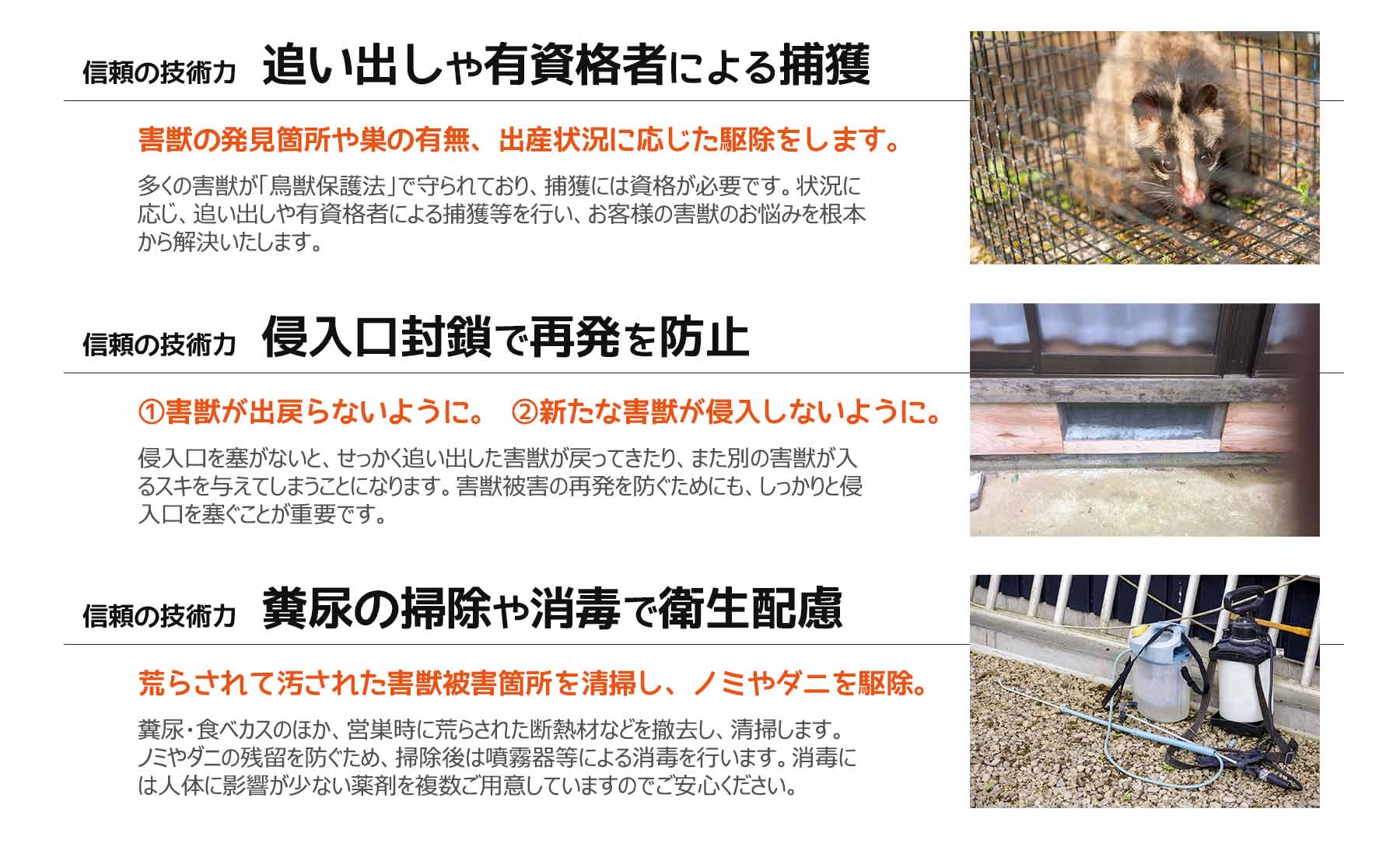 害獣などの害獣駆除の安心と信頼の技術力