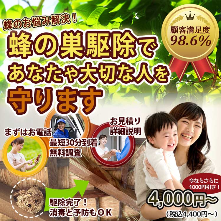 ハチ駆除対応エリアの蜂・蜂の巣 のお悩み、お任せください！