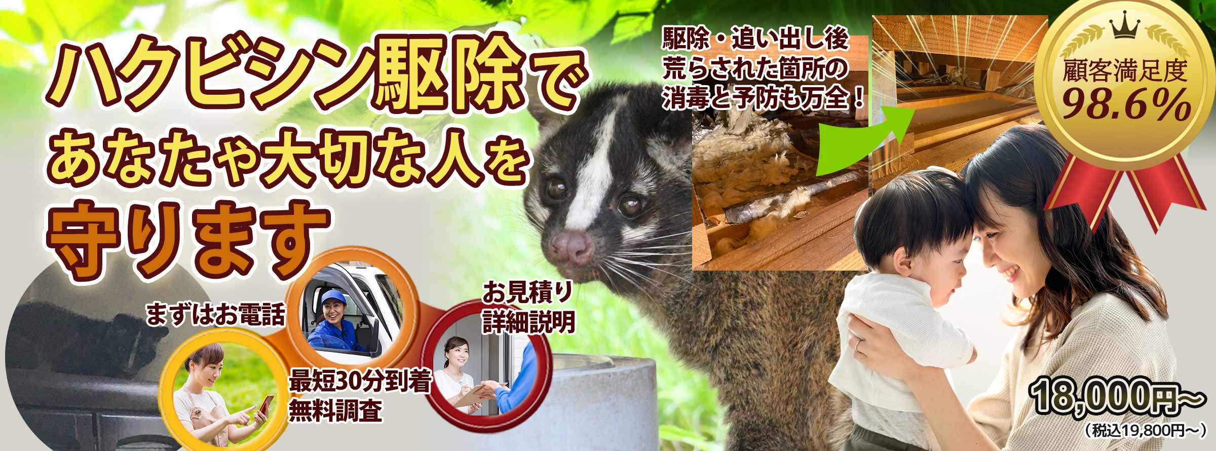 あなたの街のハクビシンのお悩み、お任せください！