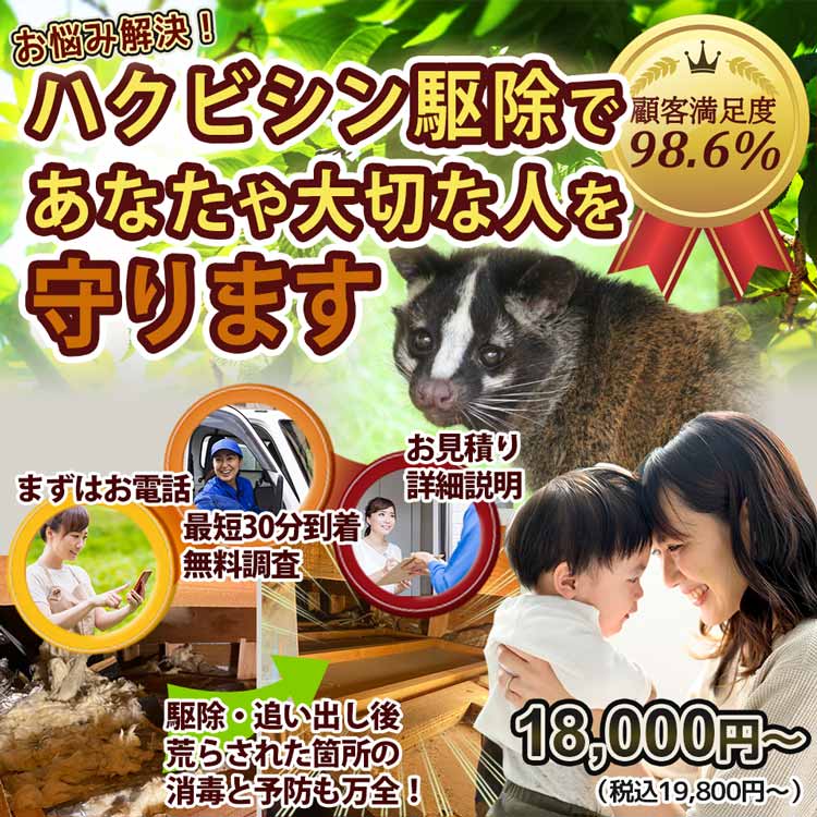 あなたの街のハクビシンのお悩み、お任せください！
