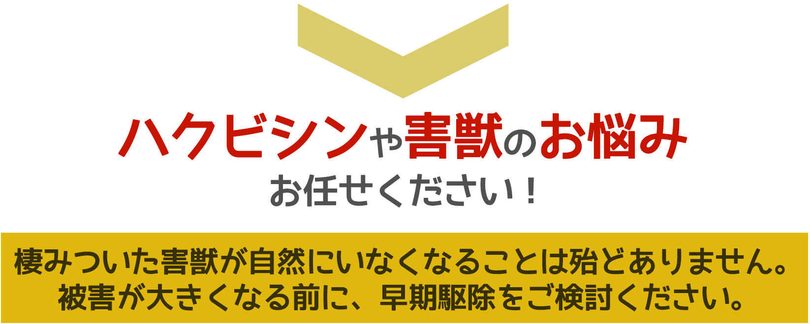 ハクビシンや害獣被害に悩んだら、ご相談ください。無料にて現地調査・お見積りします