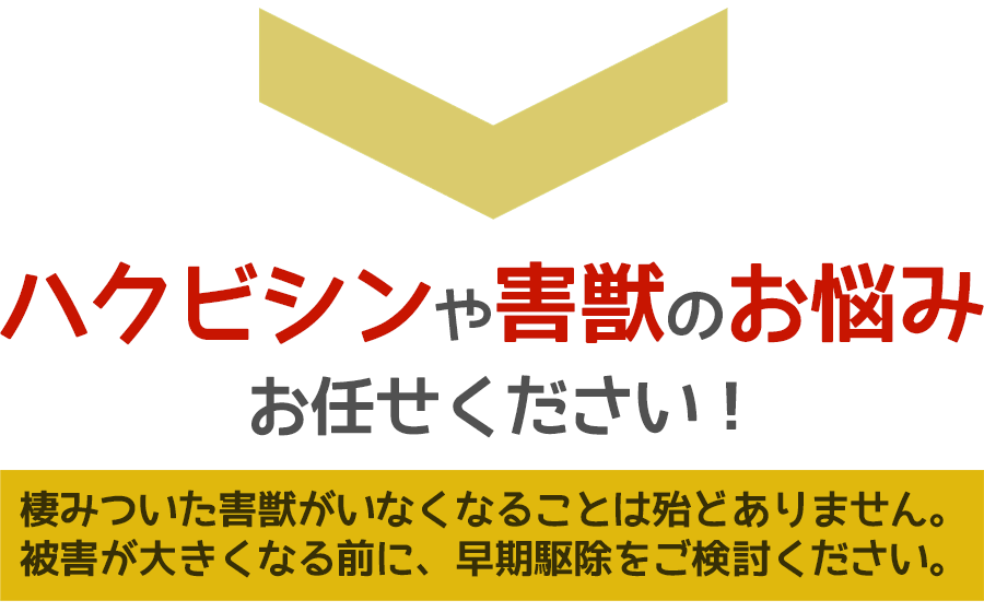 ハクビシンや害獣被害に悩んだら、ご相談ください。無料にて現地調査・お見積りします