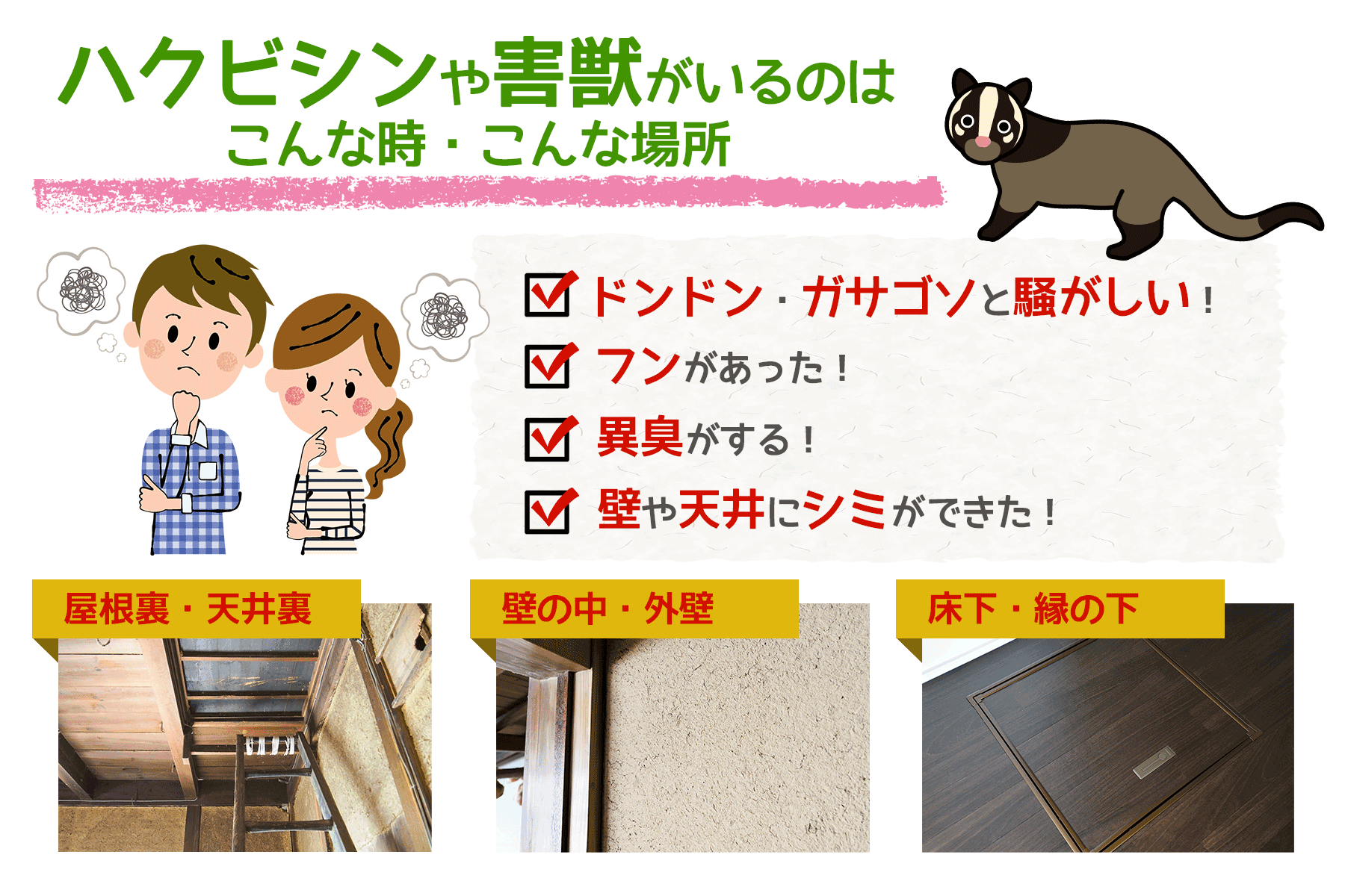 ハクビシンや害獣がいるのは、こんな時、こんな場所