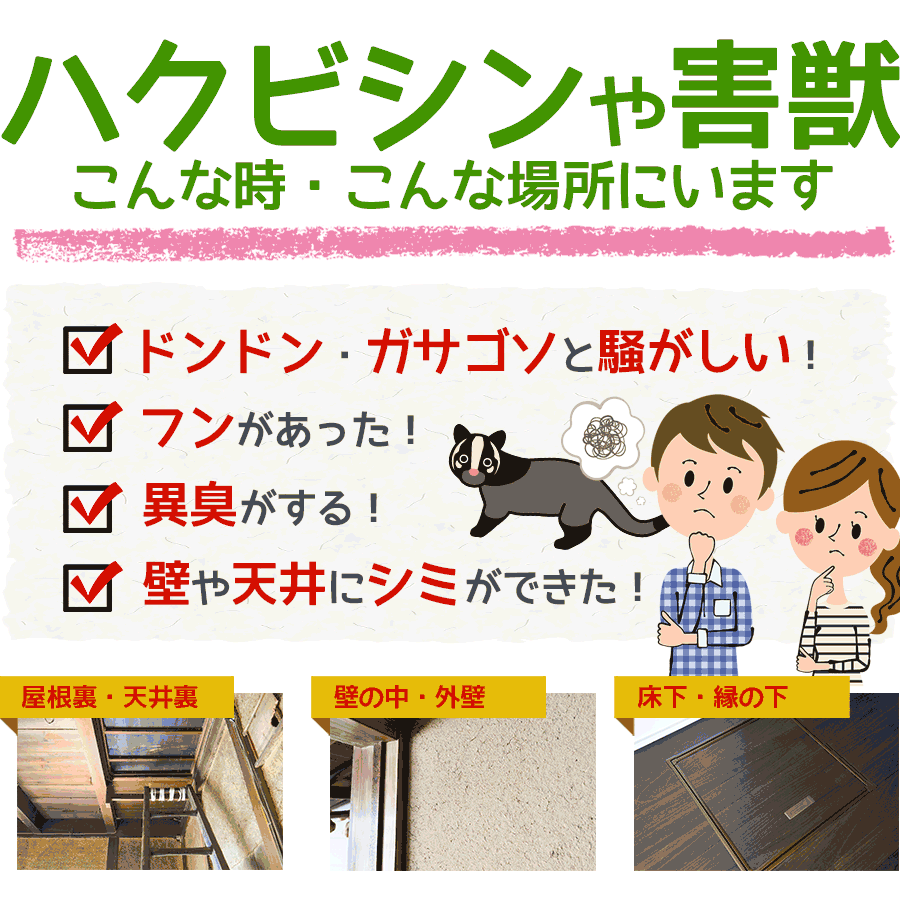 ハクビシンや害獣がいるのは、こんな時、こんな場所