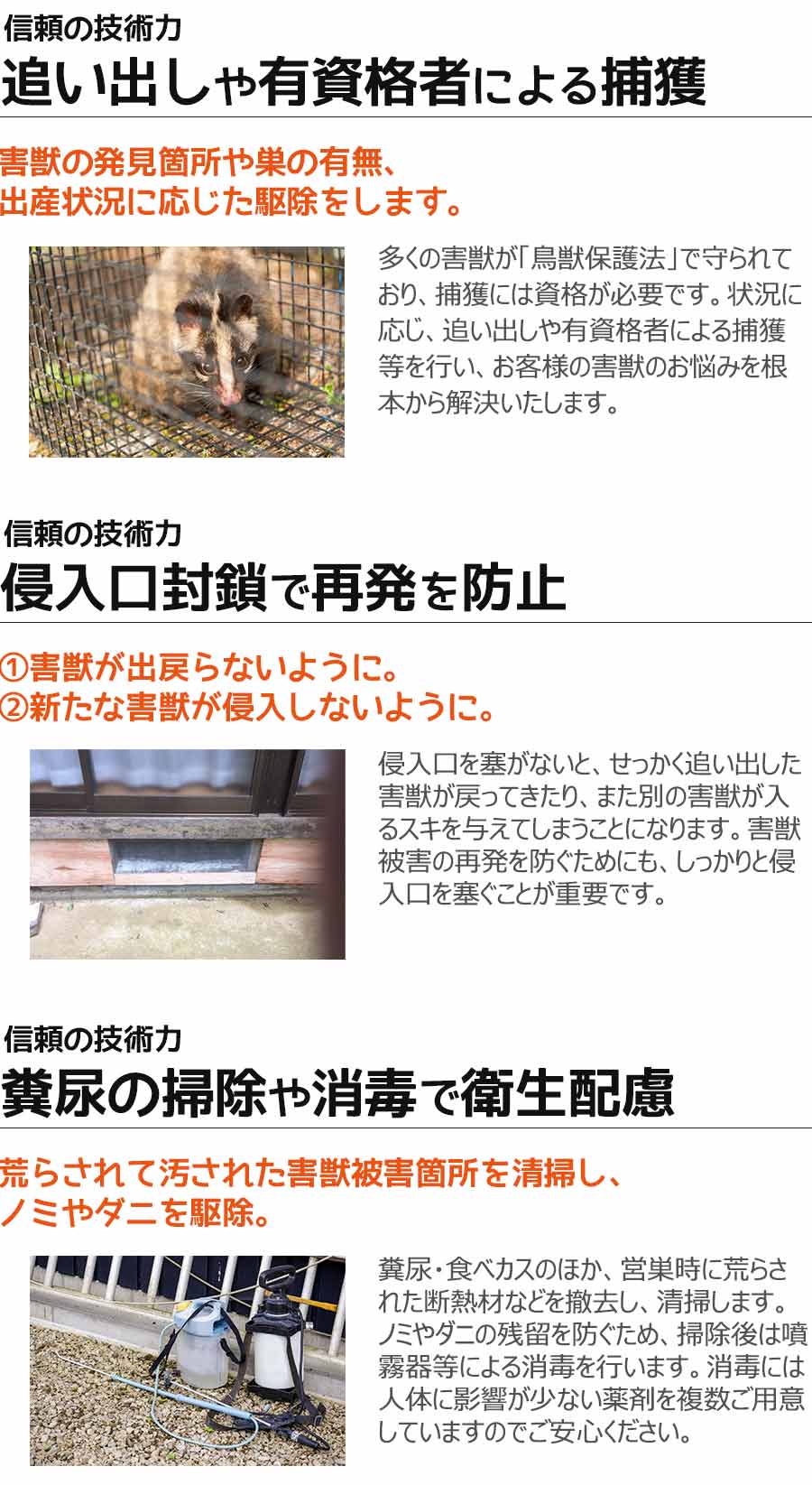 ハクビシンなどの害獣駆除の安心と信頼の技術力