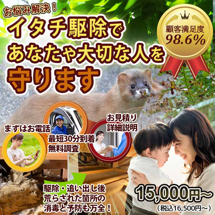 イタチ駆除対応エリアのイタチのお悩み、お任せください！