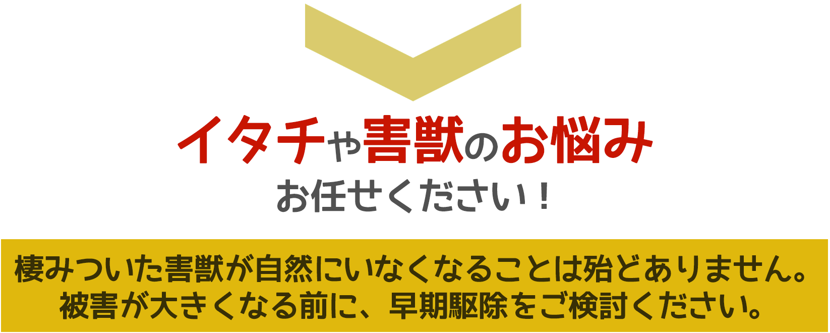イタチや害獣被害に悩んだら、ご相談ください。無料にて現地調査・お見積りします