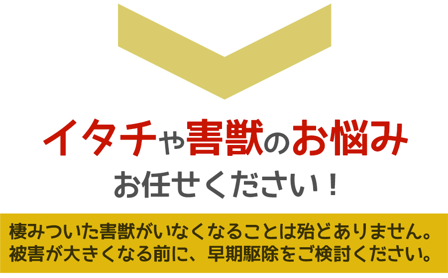 イタチや害獣被害に悩んだら、ご相談ください。無料にて現地調査・お見積りします