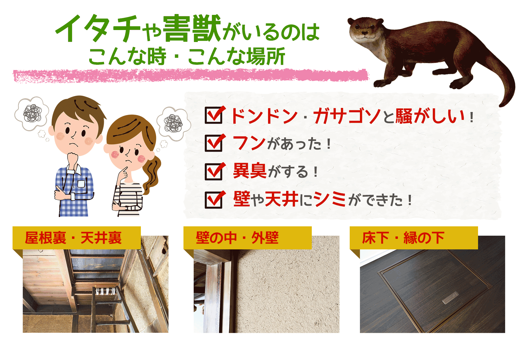 イタチや害獣がいるのは、こんな時、こんな場所