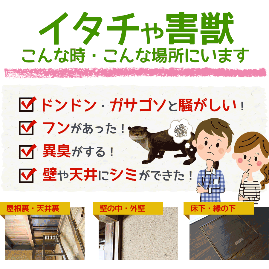 イタチや害獣がいるのは、こんな時、こんな場所