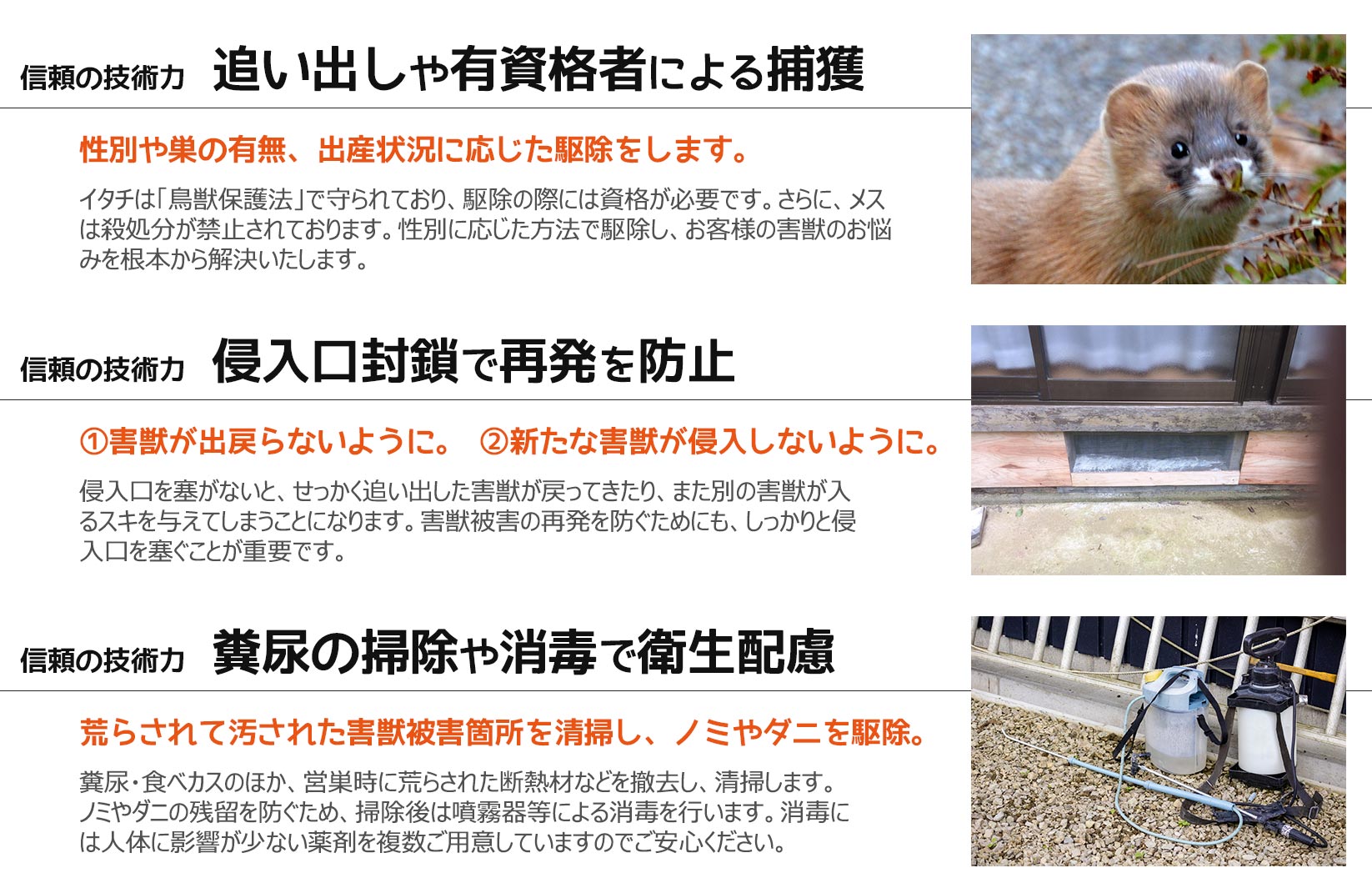 イタチなどの害獣駆除の安心と信頼の技術力