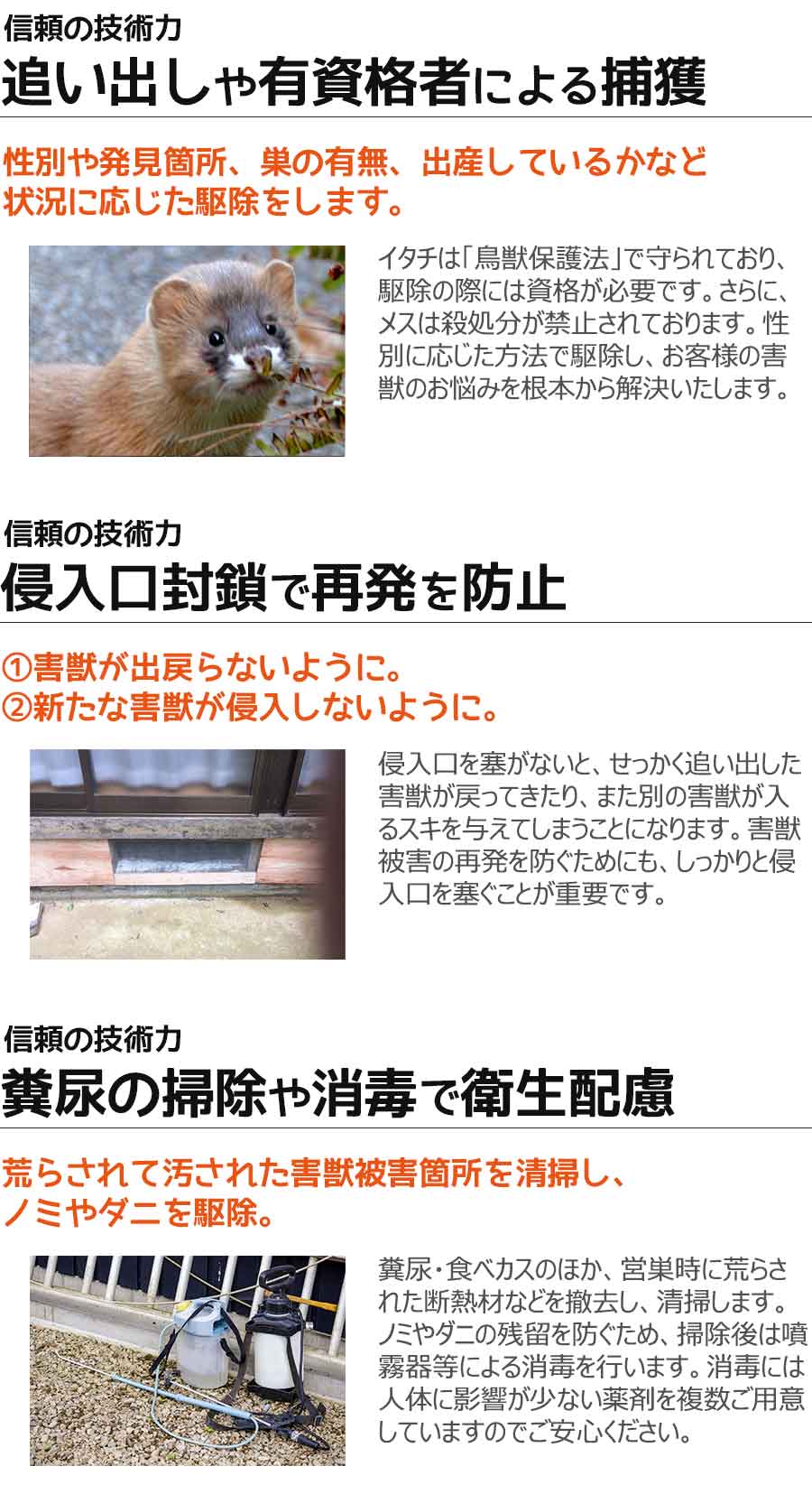 イタチなどの害獣駆除の安心と信頼の技術力
