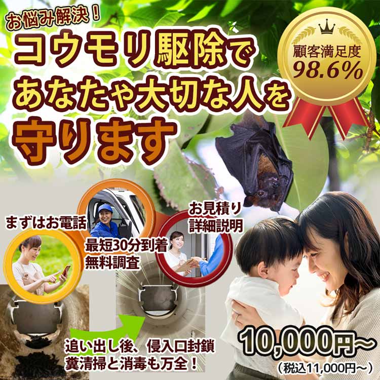 あなたの街のコウモリのお悩み、お任せください！