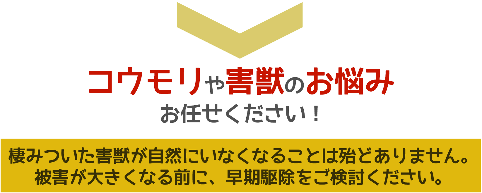 コウモリや害獣被害に悩んだら、ご相談ください。無料にて現地調査・お見積りします