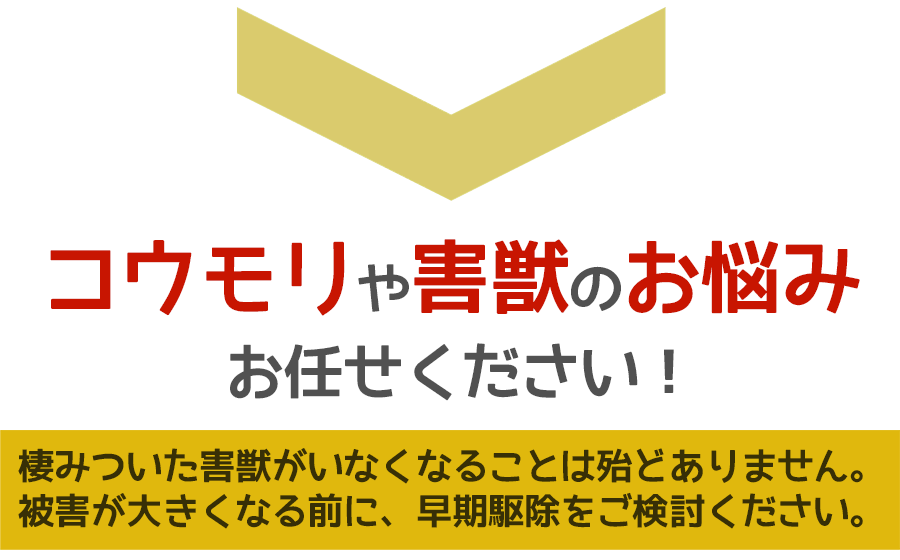 コウモリや害獣被害に悩んだら、ご相談ください。無料にて現地調査・お見積りします