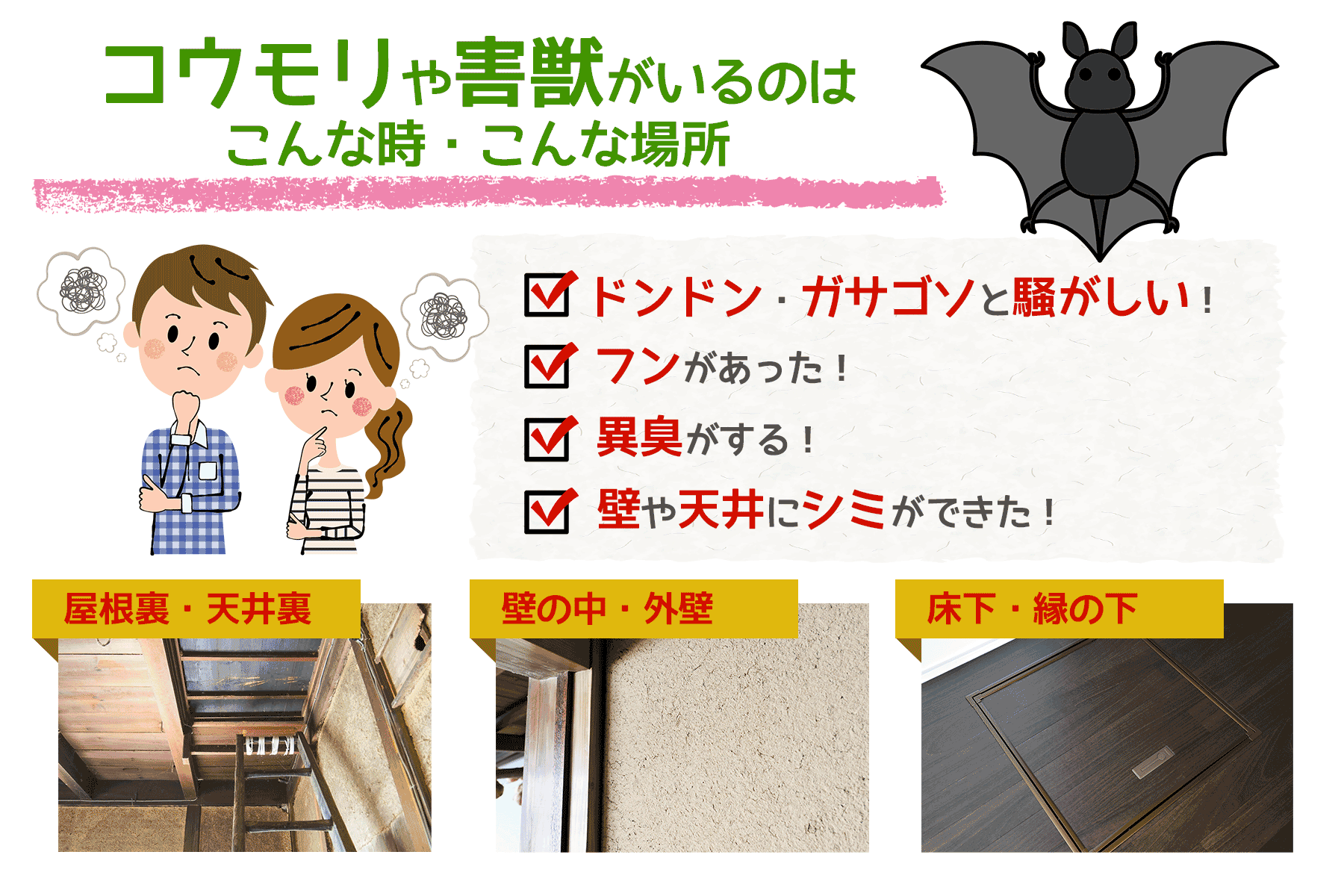 コウモリや害獣がいるのは、こんな時、こんな場所
