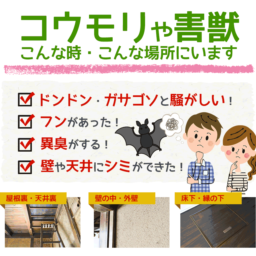 コウモリや害獣がいるのは、こんな時、こんな場所