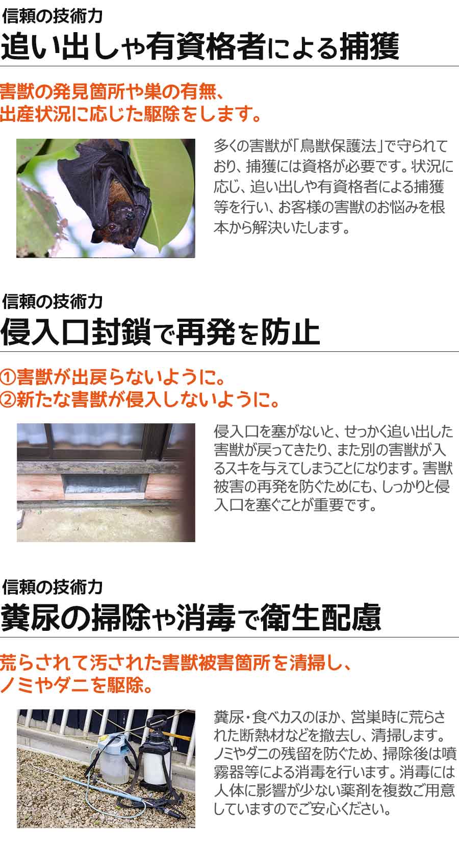 コウモリなどの害獣駆除の安心と信頼の技術力