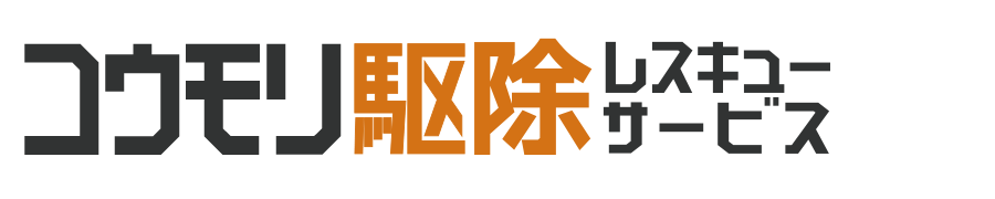 あなたの街のコウモリ駆除レスキューサービス