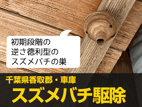 スズメバチ駆除実績