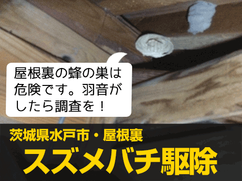 スズメバチ駆除実績